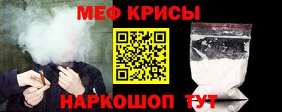СК Гатчина