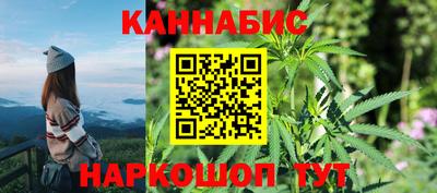 СК Гатчина