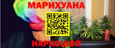 СК Гатчина