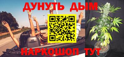 СК Гатчина