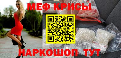 СК Гатчина
