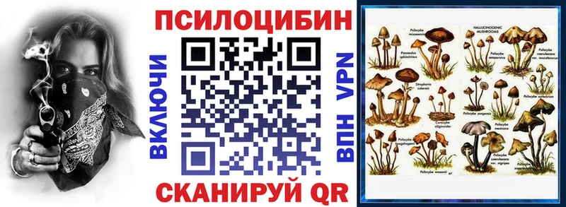 Псилоцибиновые грибы прущие грибы  где можно купить   Кимовск 
